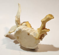 Angel Sitting 4 1/2" Tall Resin Figurine