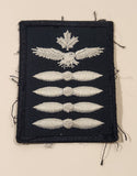 Royal Canadian Air Cadets Proficiency Level IV Embroidered Patch Badge