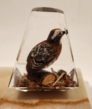 Vintage Hand Painted Wood Quail Bird in Lucite on Onyx Stone Slab