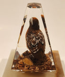 Vintage Hand Painted Wood Quail Bird in Lucite on Onyx Stone Slab