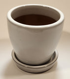 Heavy Clay 4 3/8" Tall Flower Pot with Saucer Base