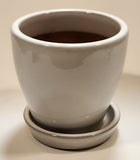 Heavy Clay 4 3/8" Tall Flower Pot with Saucer Base