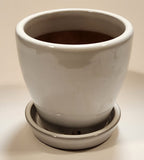 Heavy Clay 4 3/8" Tall Flower Pot with Saucer Base