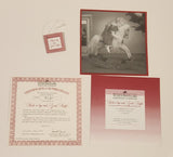 Ashton Drake Rock-A-Bye And Good Night 10" Tall Porcelain Doll on Rocking Horse New Condition in Box #92301