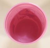 Home Presence Disney Princess Pink 4" Tall Plastic Cup