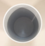 Home Presence Disney Princess Aurora Cinderella Snow White Belle 5 1/2" Tall 16 oz 475 ml Shiny Plastic Cup