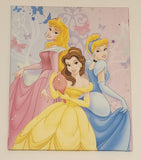 Disney Princess Aurora Belle Cinderella 16" x 20" Canvas Wall Art Picture