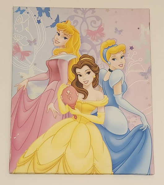 Disney Princess Aurora Belle Cinderella 16" x 20" Canvas Wall Art Picture