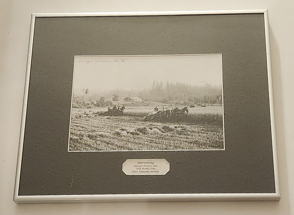 Antique 1905 Matsqui Prairie B.C. "Harvesting" Horse Pullen Baler MSA Museum Society 6 1/2" x 9 1/2" Black and White Photograph in 12 3/4" x 15 3/4" Metal Frame