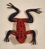 Black Spotted Red and Grey Frog 6 1/2" Rubber Toy Figure