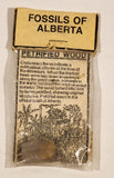 The Fossil Shop Fossils Of Alberta Petrified Wood in Bag