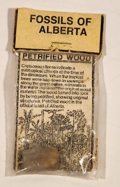 The Fossil Shop Fossils Of Alberta Petrified Wood in Bag