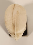 Antique Carved Bone Head Bust of Nefertiti Miniature 2 1/2" Figurine Mounted on Carved Horn Base