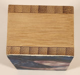 Fire Crow Bird Blue and Pink Art Picture on Wood Block Signed Tamara Phillips