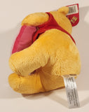 Danawares Disney Winnie The Pooh XOXO Pink Heart Pillow 10" Tall Stuffed Plush Toy New with Tag