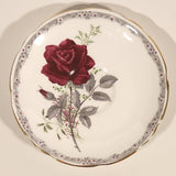 Vintage Royal Staffordshire Bone China "Roses To Remember" Red Flowers Tea Cup & Saucer Set
