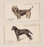 Player's Cigarettes Dogs Tobacco Trading Cards Lot of 2