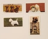 Hornimans Tea Dogs Trading Cards Lot of 4