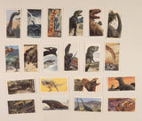 Brooke Bond The Dinosaur Trail Trading Cards Complete of 20