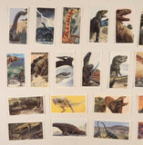 Brooke Bond The Dinosaur Trail Trading Cards Complete of 20