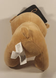 2024 Amscan Brown Graduation Teddy Bear 9" Stuffed Plush Toy