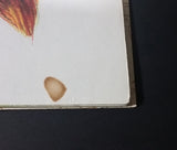 1982 Little Cottontail - Little Golden Books - 304-43 - Collectible Children's Book - 16th Print - Treasure Valley Antiques & Collectibles