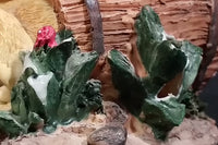 Two Puppy Dogs Being Curious and Playful with a Turtle Resin Decorative Ornament - Treasure Valley Antiques & Collectibles