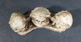 Antique Wise Monkeys Hear No Evil, Speak No Evil, See No Evil Small Bone Carving - Signed - Treasure Valley Antiques & Collectibles