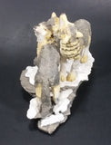 Wolf Pack of 3 Wolves on Snow Covered Rocks Decorative Resin Sculpture Figurine Made in China - Treasure Valley Antiques & Collectibles