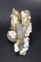 Wolf Pack of 3 Wolves on Snow Covered Rocks Decorative Resin Sculpture Figurine Made in China - Treasure Valley Antiques & Collectibles
