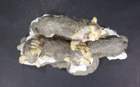 Wolf Pack of 3 Wolves on Snow Covered Rocks Decorative Resin Sculpture Figurine Made in China - Treasure Valley Antiques & Collectibles