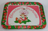 Vintage 1981 Strawberry Shortcake Dinner Lunch Fold Out Metal TV Tray