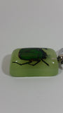 Light Green Acrylic Real June Bug Insect Keychain