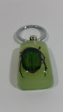 Light Green Acrylic Real June Bug Insect Keychain