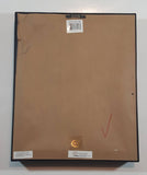 2016 Official Nintendo The Legend of Zelda Breath of the Wild 3D Hologram Framed Video Game Wall Decor