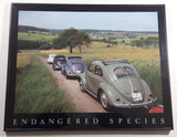 Volkswagen Beetle "Endangered Species" Hardboard Wood Plaque with Yellow and Red Bead Tail Lights 16" x 20"