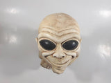 Funattic Designs Alien Baby Heavy Chalkware Style 10 1/2" Tall Figure Decorative Ornament