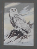 Vintage Cashs Woven Pictures Snowy Owl and Snowy Owl (Owlet) Woven Find Silk 3" x 4 1/4" Framed Wildlife Artwork