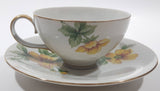 Vintage Occupied Japan Meito Norleans China Sun Glory Pattern Tea Cup and Saucer Plate Set
