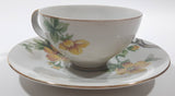 Vintage Occupied Japan Meito Norleans China Sun Glory Pattern Tea Cup and Saucer Plate Set
