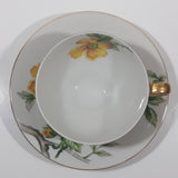 Vintage Occupied Japan Meito Norleans China Sun Glory Pattern Tea Cup and Saucer Plate Set