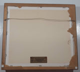 Vintage Butterfly Insect Specimens 13 1/2" x 15" Framed Wall Hanging