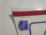 New York Rangers NHL Ice Hockey Team Full Size 30" Long Felt Pennant