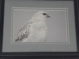 Vintage 1981 Robert Bateman "Arctic Portrait - White Gyrfalcon" 4 5/8" x 7 3/8" Art Print in 11 1/8" x 13 3/4" Frame
