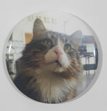 Cat Themed 2 1/4" Fridge Magnet