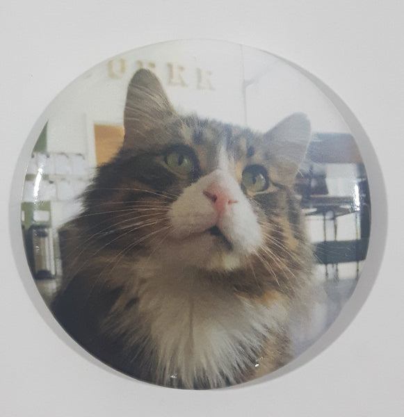 Cat Themed 2 1/4" Fridge Magnet