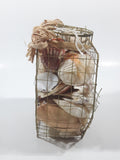 Seashell Filled Wire Cage 6" Tall