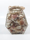 Seashell Filled Wire Cage 6" Tall