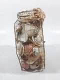 Seashell Filled Wire Cage 6" Tall
