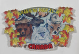 Manning Park B.C. Canada 1 1/2" x 2 1/2" Fridge Magnet